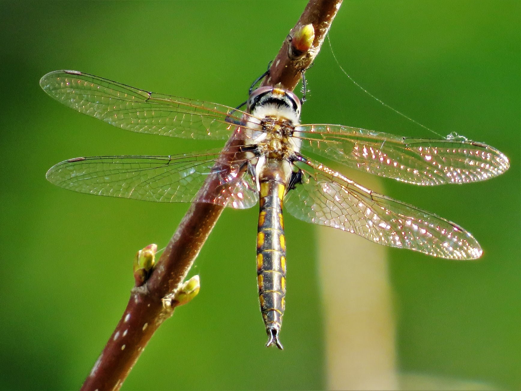 Rob Morgan (@Rob16142) / Twitter