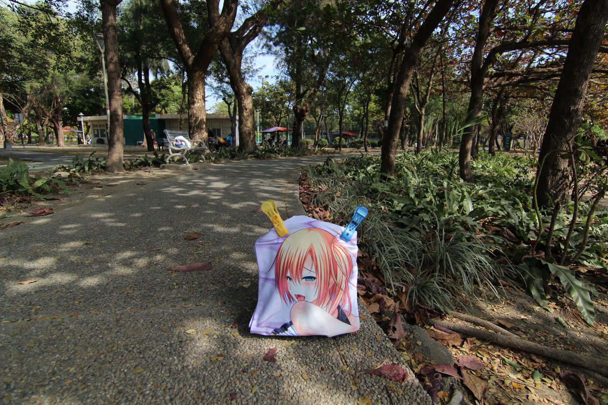 zxc33010's tweet photo. 外拍 前金區
中央公園
平間ひろかず老師,繪畫成田きさら
#白衣の天使はお���話好き~ラブラブエッチな入院生活~ #CandySoft #藤邑鈴香 #平間ひろかず #成田きさら #高雄市 #前金區 https://t.co/EKOmAThuKK