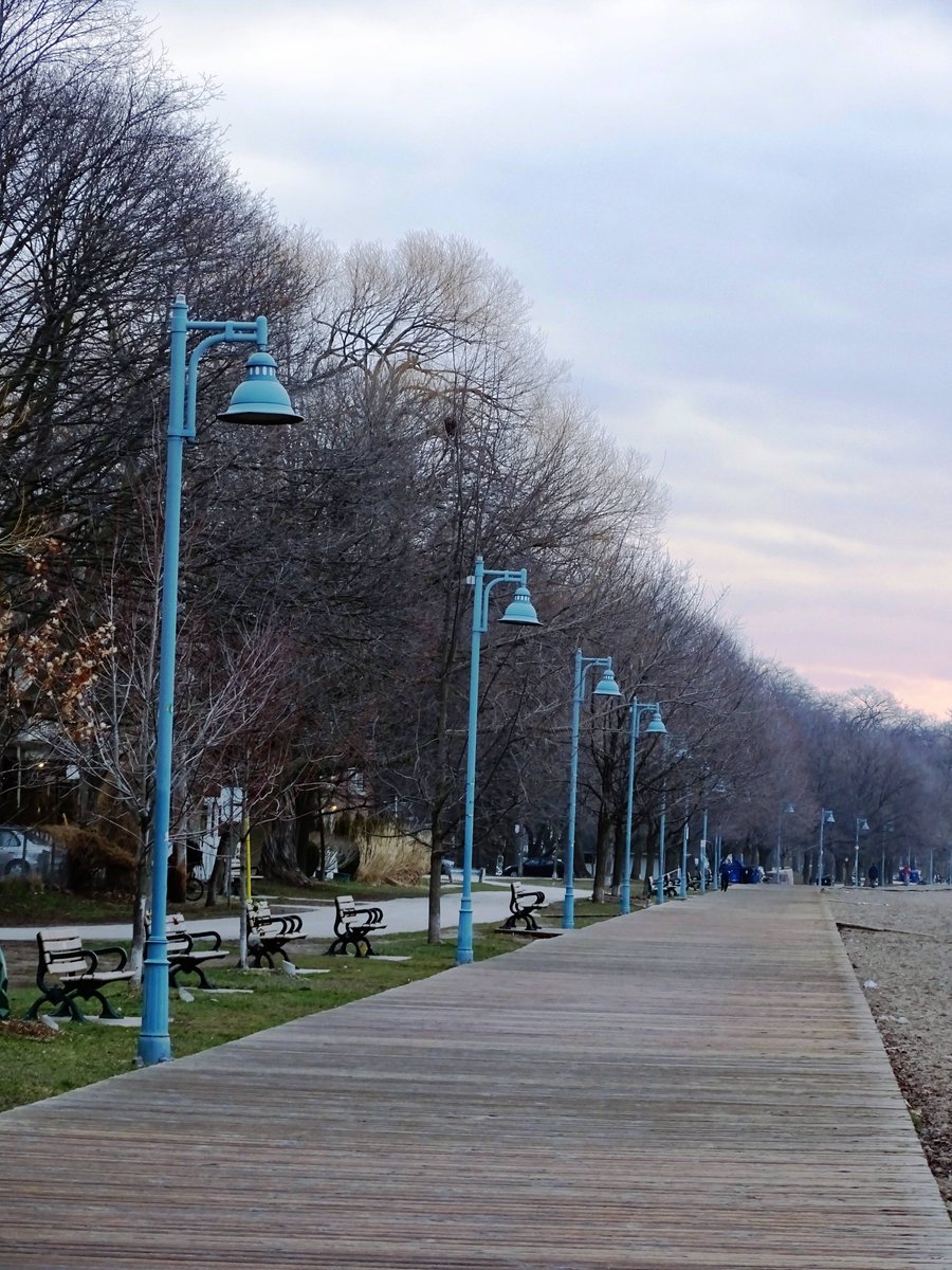 DaphneLHunt1's tweet photo. Blue-grey morning on The Beach. Shy sun. Oh, there's my hat. Fungus ladders. Guardians of the night on the boardwalk. Spring on the trees. The Radio Flyer has landed!
2/2
#Sunrise #TheSunriseProject #BeachTO #MuskokaChair #RadioFlyerWagon #Boardwalk #Toronto #LakeOntario https://t.co/INW4ecF7BR