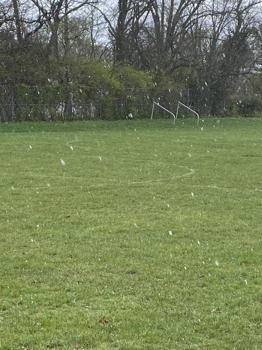 TCross6868's tweet photo. Spring Soccer, it’s fantastic? https://t.co/gZI9Y7nLkK