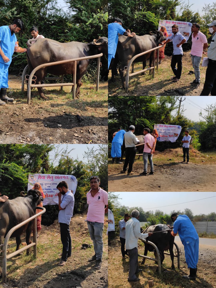 બોરસદ તાલુકાના ભાદરણ અને આંકલાવ તાલુકાના ભેટાસી ગામે 8મા તબક્કાના સેવા સેતુ કાર્યક્રમનો શુભારંભ કરવામાં આવ્યો. <a href="/CollectorAnd/">Collector and DM Anand</a> <a href="/trajendrabjp/">Rajendra Trivedi</a> <a href="/pkumarias/">Pankaj Kumar</a> <a href="/CMOGuj/">CMO Gujarat</a>