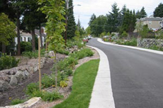 SeattleSPU's tweet photo. Slow Down for this SEA Street ✋! This design mimics the way natural landscapes manage #rainwater. Winding roads lined with #bioretention cells can reduce #stormwater on the streets by an astonishing 99% and slow down traffic, making it safer for everyone to move. #shapeourwater https://t.co/WroEmZDNb8