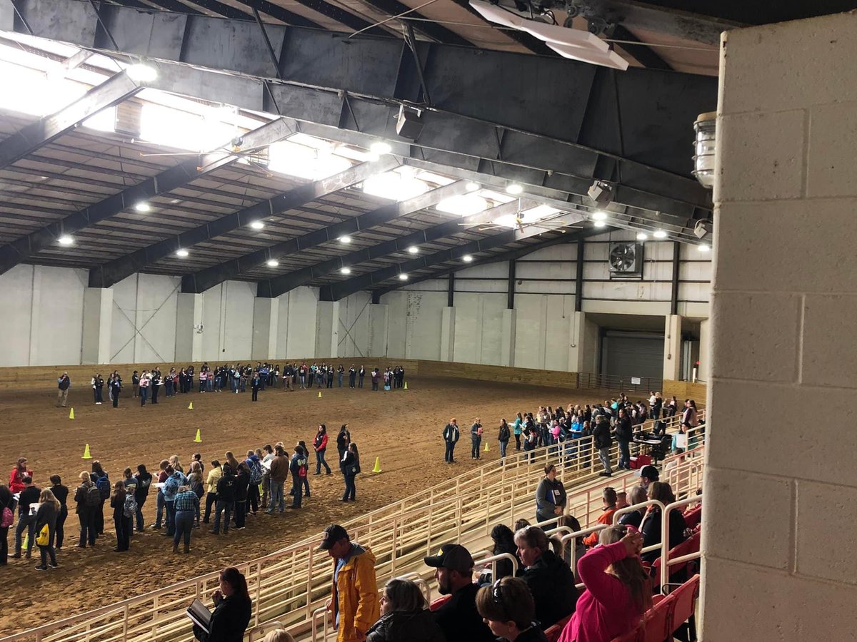AllisonCTE's tweet photo. Happy Saturday! @CarteretEast FFA hanging out at the horse judging competition today. 💙💛 #echsffa #CTETheHotTopic #careerready @CarteretK12 @CTEforNC @NCFFA https://t.co/EHdrqYSlTW