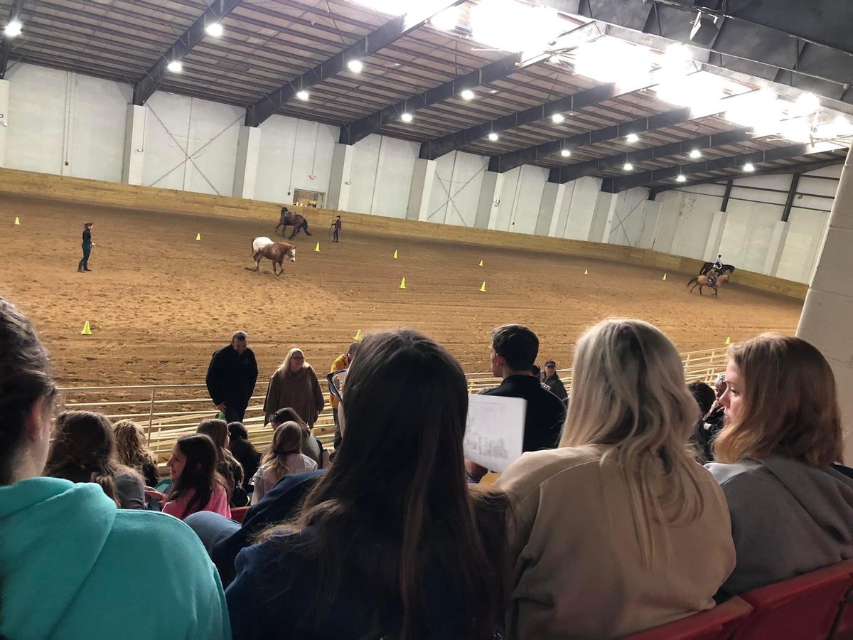 AllisonCTE's tweet photo. Happy Saturday! @CarteretEast FFA hanging out at the horse judging competition today. 💙💛 #echsffa #CTETheHotTopic #careerready @CarteretK12 @CTEforNC @NCFFA https://t.co/EHdrqYSlTW