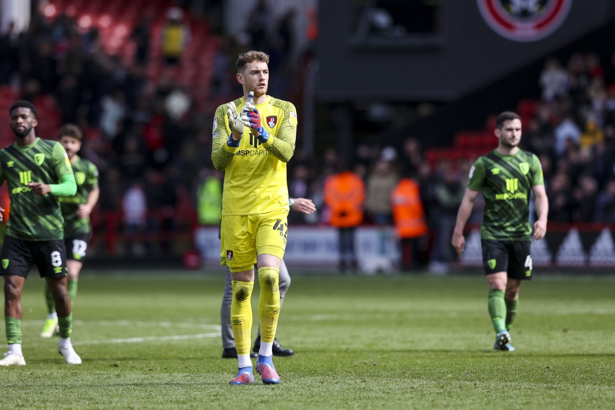 afcbournemouth's tweet photo. #ElPulpo 🐙 https://t.co/DewFNBORhR