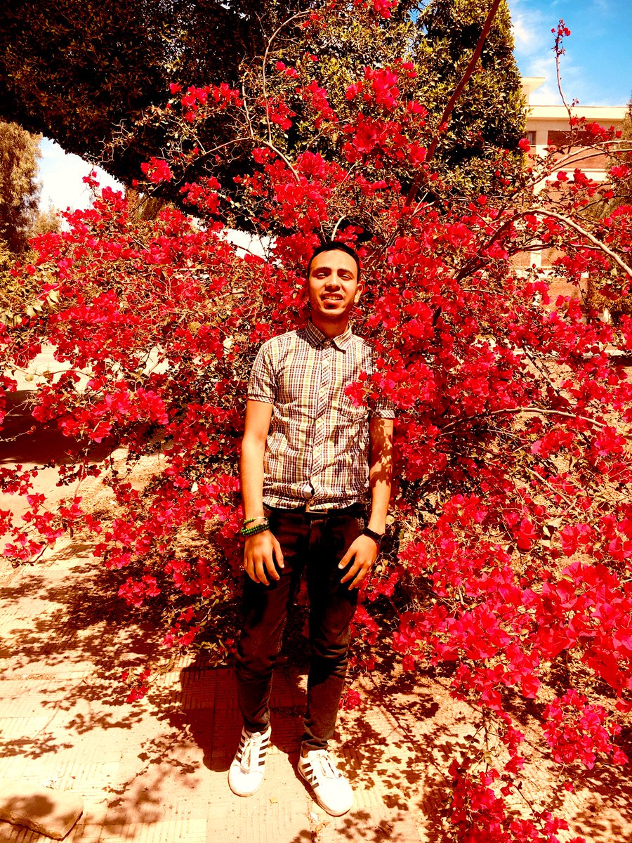 Mostafa75029304's tweet photo. https://t.co/Ow3Dc3zJBD