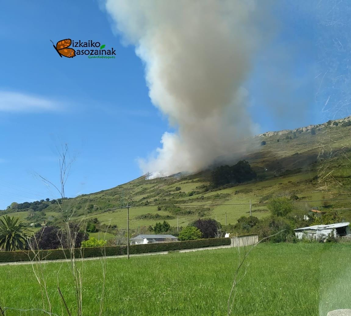 Biz_Basozainak's tweet photo. Imagen del #incendioforestal de #PuntaLucero, iniciado por problemas en tendido eléctrico. https://t.co/oYrNACH0li