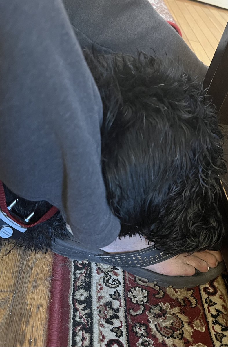cubical's tweet photo. #chinrest https://t.co/VoucbKbdf8