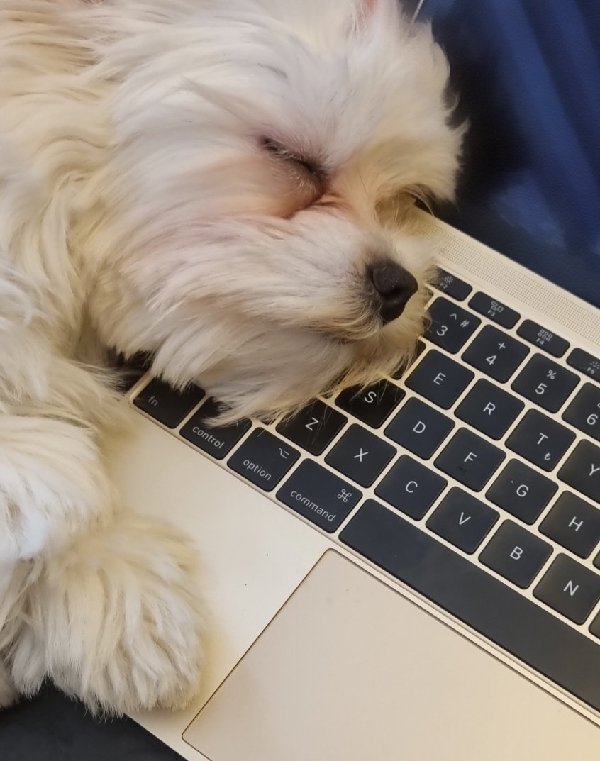 He deserves an honorary degree for his night shifts 🎓