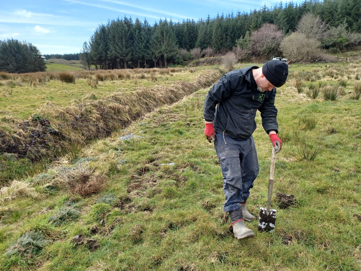 InaghEIP's tweet photo. A big "well done 👏 " to our participating farmers who have doubled the area of native trees, woodlands,bufferzones and groves within the area we are working on.  The area is dominated by Sitka spruce forestry and only one native woodland  of 5 acres, which was planted in 2013. https://t.co/MFHKfUFDid