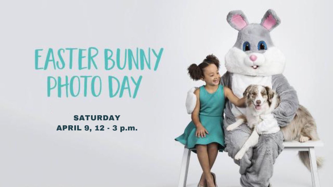petsmart3160's tweet photo. Stopping in today with your furry friend? Swing by from 12 - 3 p.m. to get a picture with the Easter Bunny! We’re egg-cited to see you there! 🐣💛 https://t.co/d4sjrWKsKW