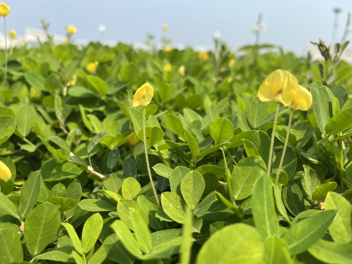 สวัสดียามดึกครับคนเก่ง เป็นยังไงบ้างชีวิตช่วงนี้ดีมั้ย มีน้ำตารึป่าวใครทำเดมมาเลยครับเดี๋ยวไปจัดการให้ ขอให้เธอได่กินของอร่อยๆลืมเรื่องแย่ๆในชีวิตที่ผ่านมาแล้วเริ่มต้นใหม่นะครับ ถึงจะไม่ได้โรยด้วยกลีบดอกไม้แต่ผมเชื่อว่ามันจะดีแน่นอน ฝันดีครับ🤍🦋