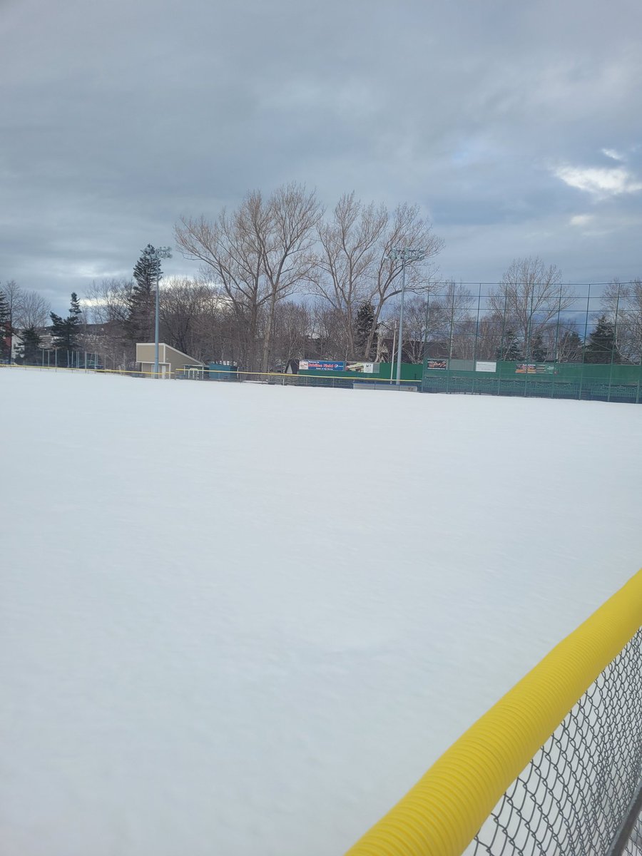 Frank Humber tweet media