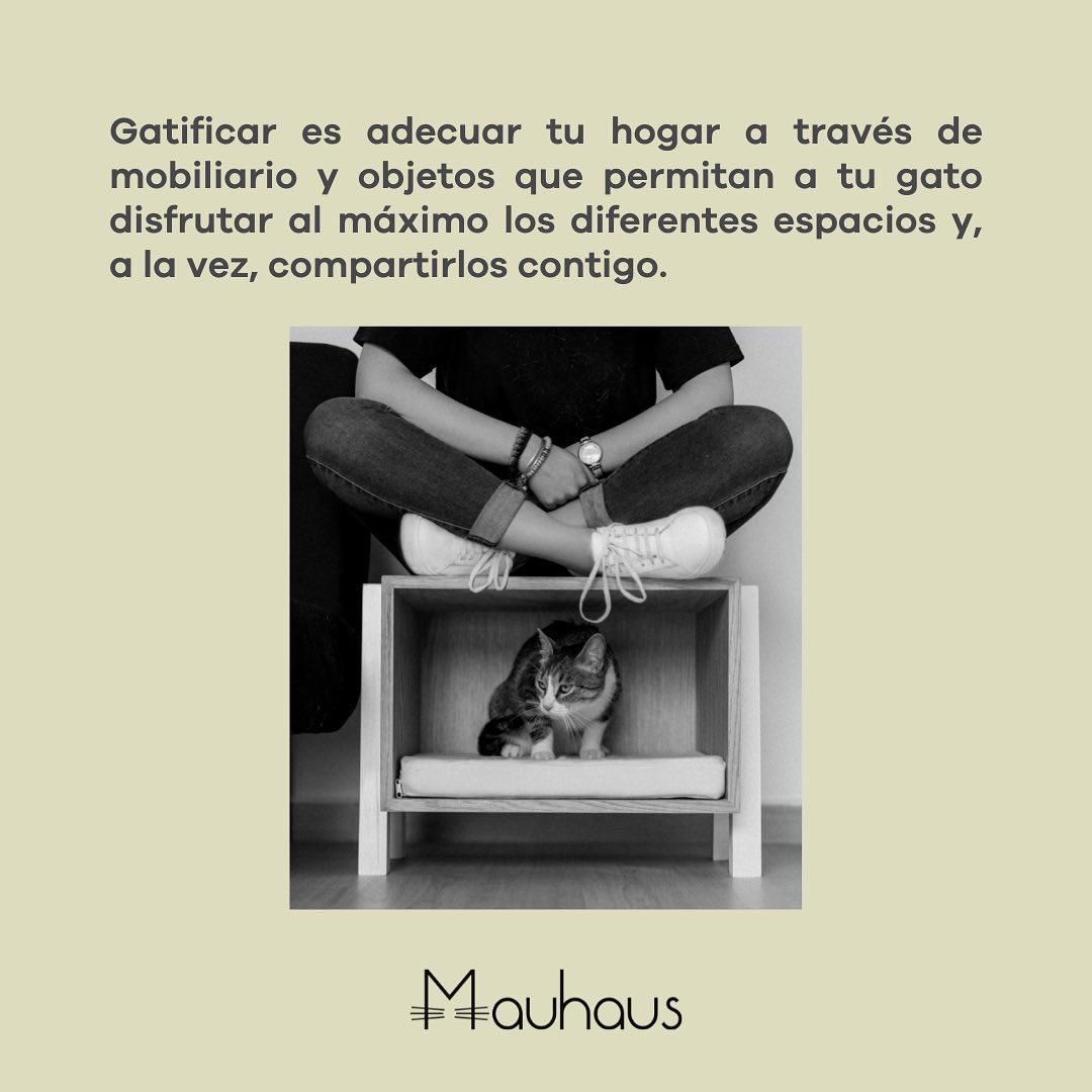 MauhausMx's tweet photo. Con Mauhaus lograrás crear ambientes integrales, funcionales y agradables para tu michi 🐈⬛ y para ti que además luzcan ¡increíbles! https://t.co/LNcVsoFXub
#SabiasQue #Gatificando #GatificarCasa #MueblesParaGato #HechoEnMexico #MobiliarioParaGatos #CatLovers #GatoConEstilo #Gato https://t.co/Nl3g9wBurR