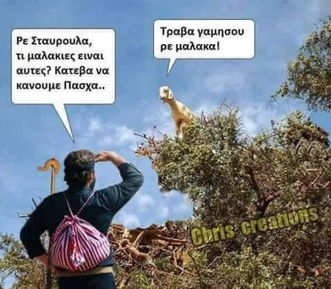 glarakia's tweet photo. Με τη Σταυρού��α για πάντα ❤️🧡💛 https://t.co/sb3W1x9wP6
