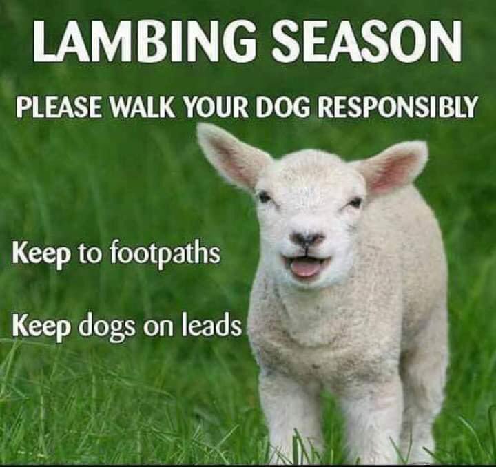 Neighbo57332119's tweet image. Just back from a lovely four hour walk it was #Gloucestershire on the map today.
Great to interact with #localresidents on route. Pleased to say there were considerate #dogowners about &amp;amp; lots of little nearly born farm animals happily enjoying the sunshine #93015 #LambingSeason