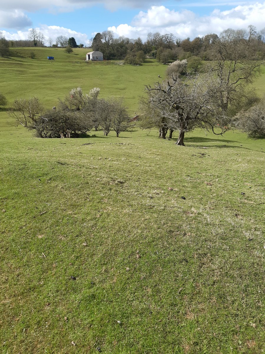 Neighbo57332119's tweet image. Just back from a lovely four hour walk it was #Gloucestershire on the map today.
Great to interact with #localresidents on route. Pleased to say there were considerate #dogowners about &amp;amp; lots of little nearly born farm animals happily enjoying the sunshine #93015 #LambingSeason