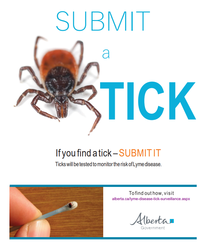 Alberta Parks on Twitter "Tick season starts as soon as the snow melts