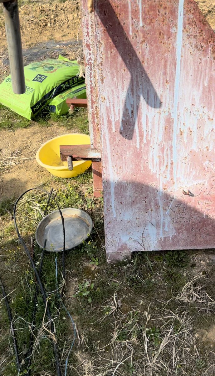 밭지키미개 곰디 입양처를 찾아요!
오늘 처음으로 멀리서만보던 곰디가 지내는 집에 가봤어요. 밥은 커녕 물도 없고 비 피할 집도 없었습니다. 생각보다 더 처참한곳에서 살고있는곰디. 입양처를 찾아요 저 처참한곳에서 하루라도 빨리 구해주고싶어요.