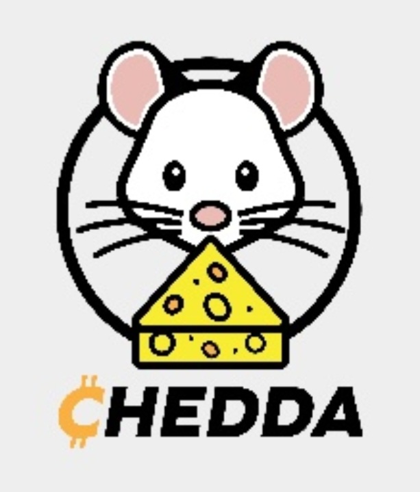 redwoodrjc's tweet photo. @CryptoGemsCom $CHEDDA #CHEDDA https://t.co/89TQxgQfjL