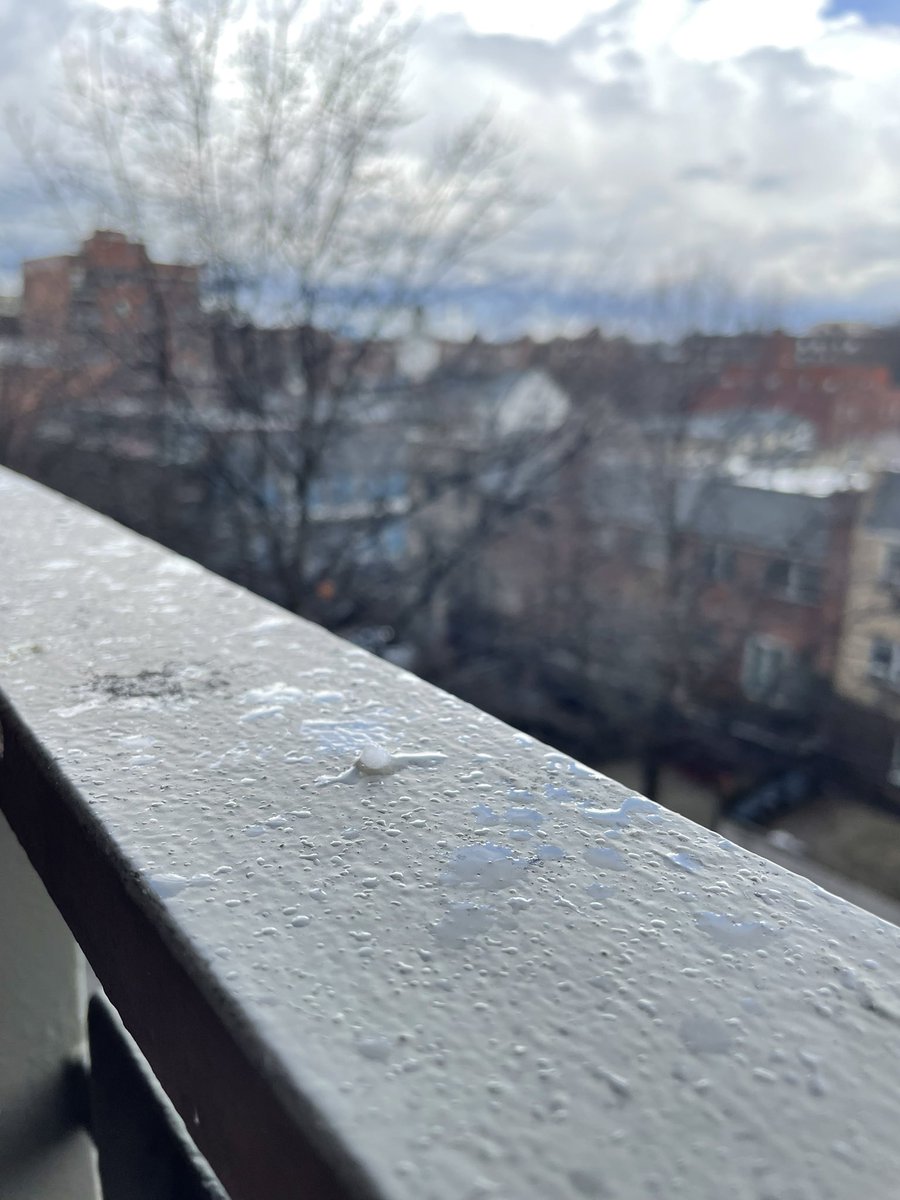 MrLast_Rocks's tweet photo. Okay, now it actually hailed in queens @gdimeweather https://t.co/HTyCiiged9