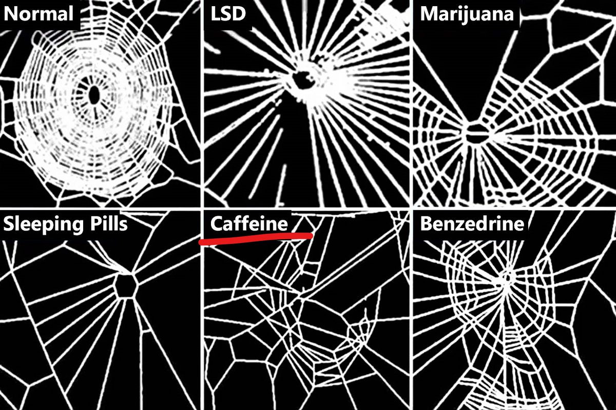 Annabelle_Zeta's tweet photo. CAFFEINE: There's a reason why "the powers that shouldn't be", made sure there was a Coffee Shop on every corner before they tried to pull off the greatest psyop of all time... 👀☕️☣️🐑😵💫💩🧠😴💯🧟☠️
#CAFFEINEIsPoison #CoffeeIsPoison #SheeplePoison https://t.co/CoRu6ZeGHd