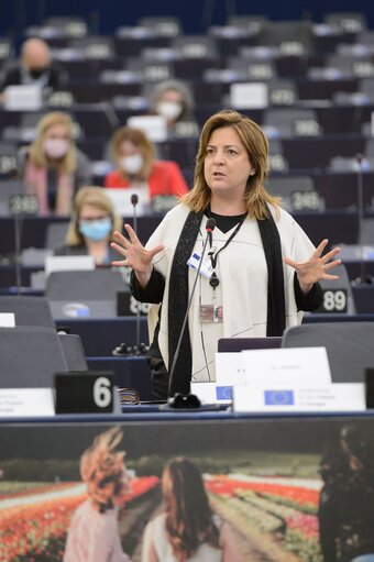 European Movement tweet media