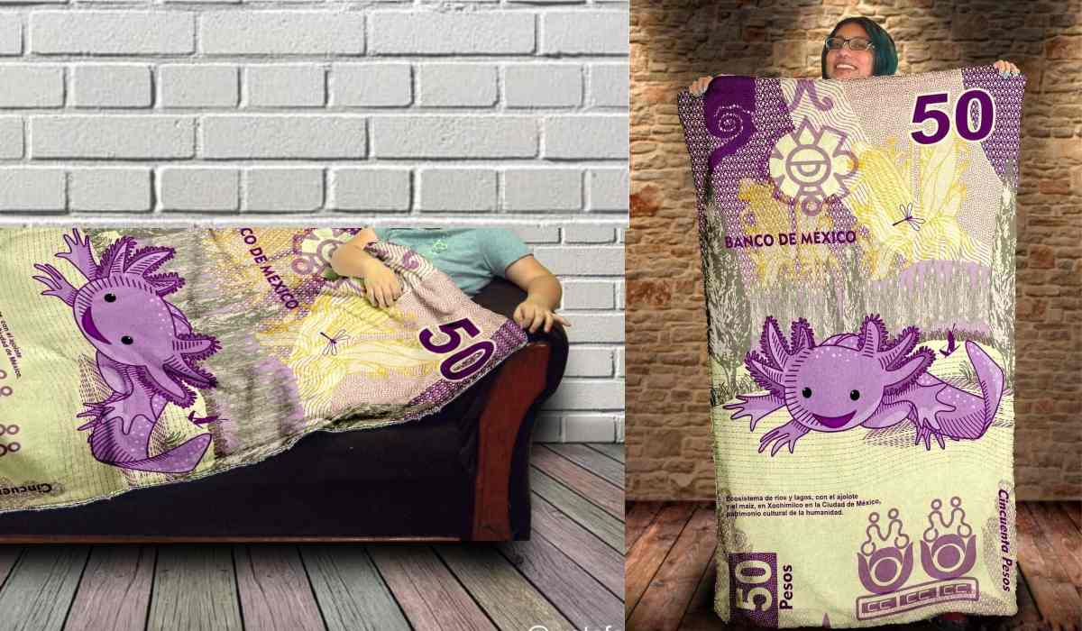 TolucalaBellaCd's tweet photo. Venden cobija del nuevo billete de $50 pesos con la imagen del ajolote  - https://t.co/U4K6WaNPh5 

#DateUnGustito #Noticias #Últimahora #FelizDía #Hoy #AlDía #AlMomento https://t.co/UWRY5y1wgq