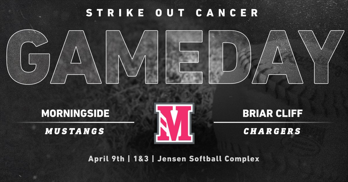 Morningside Softball tweet media