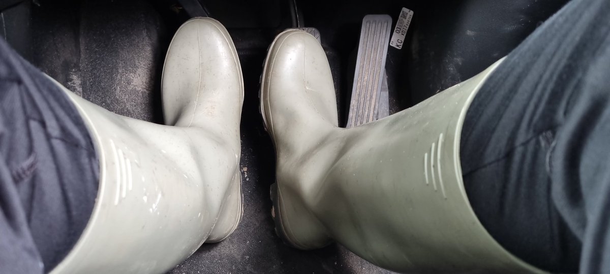 farmhandie's tweet photo. #baudou #Wellington #wellies #rubberboots https://t.co/h6qo9aK0LR
