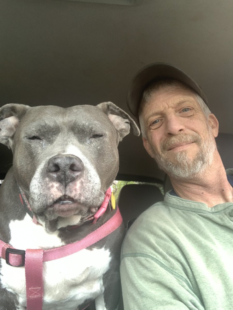 dcwingate's tweet photo. Diamond Trippin Saturday ๐พ๐พ๐ฅ
DADS GOTS A NEW JOB but Iโm not getting MAGIC WINDOW!?! ๐พ๐พ๐คฌ
#GrayFaceMafia #DogsofTwittter #AdoptDontShop #DaddysPotato #TEEF #CursesFoiledAgain https://t.co/Zn7GSYnnX1