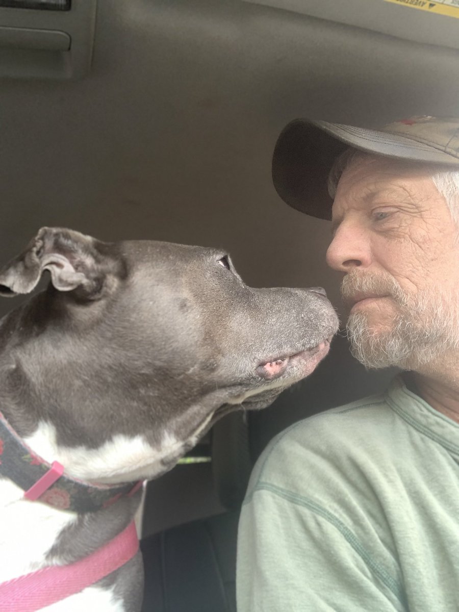 dcwingate's tweet photo. Diamond Trippin Saturday ๐พ๐พ๐ฅ
DADS GOTS A NEW JOB but Iโm not getting MAGIC WINDOW!?! ๐พ๐พ๐คฌ
#GrayFaceMafia #DogsofTwittter #AdoptDontShop #DaddysPotato #TEEF #CursesFoiledAgain https://t.co/Zn7GSYnnX1