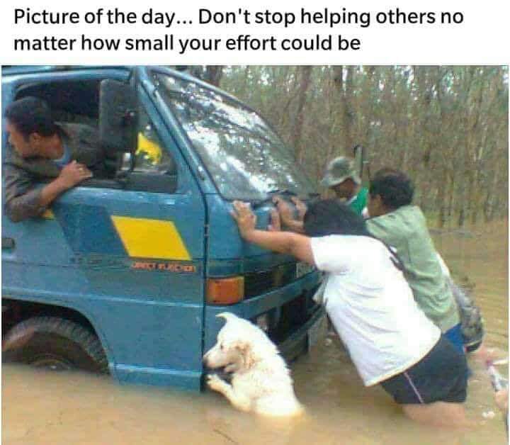 Kaliroalex (@kaliroalex2) on Twitter photo 