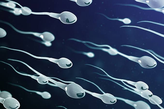 SaveTheFATHER's tweet photo. Dear Indian Law Makers-I'm not a "Sperm Donor"I'm a Father & want to be with my Child,Think about the harassment of a father who is unable to meet his own child.Don't U think it's a Child Abuse #savethefather #menrights #saveindianmen #justiceformen #menmatters #savechild https://t.co/7NopUCji98