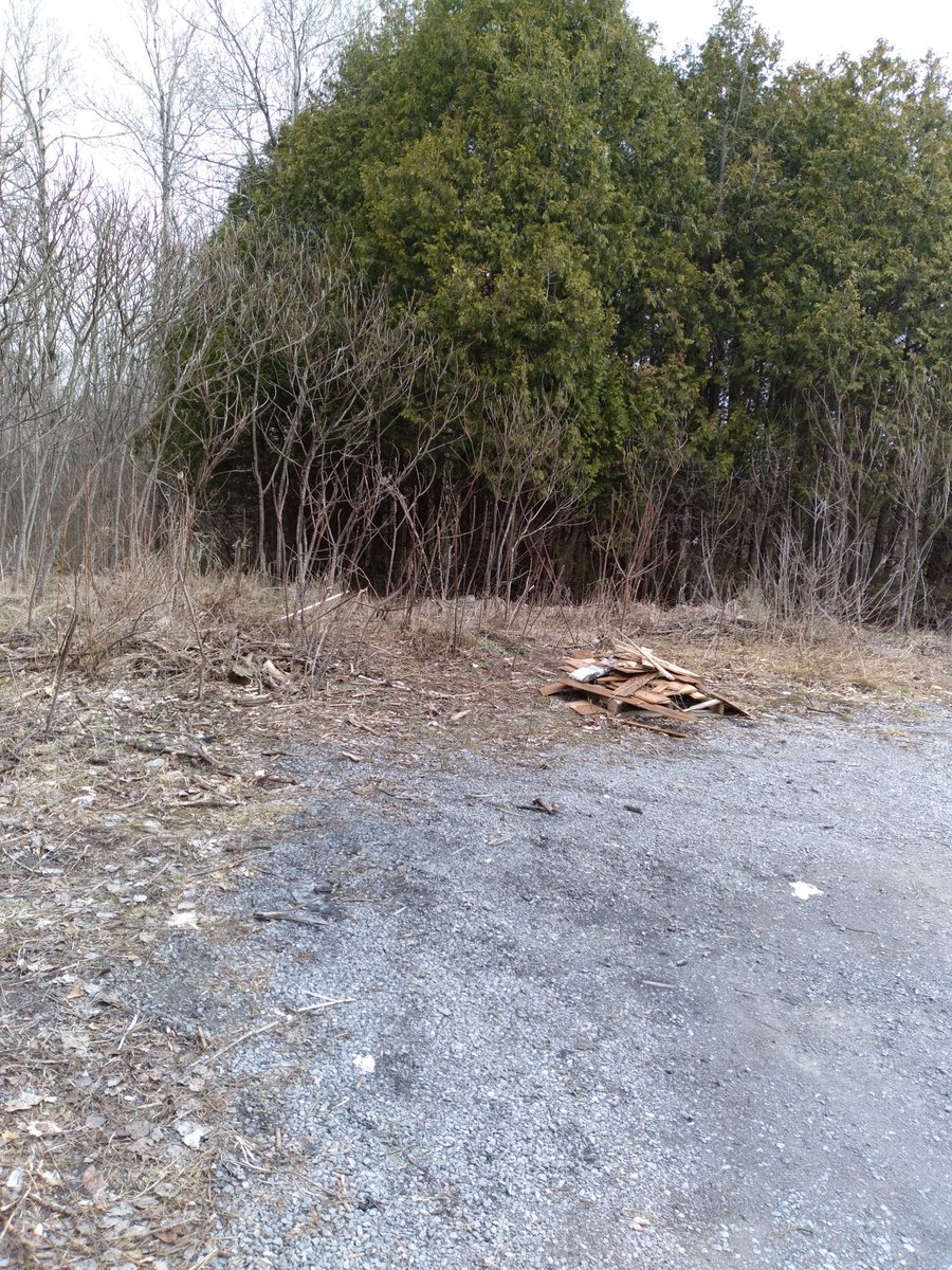 luvlambs's tweet photo. I have been trying to get this area cleaned up. Kudos to whoever took 5 bags of trash out yesterday! #BPWA https://t.co/8KefltiTzS