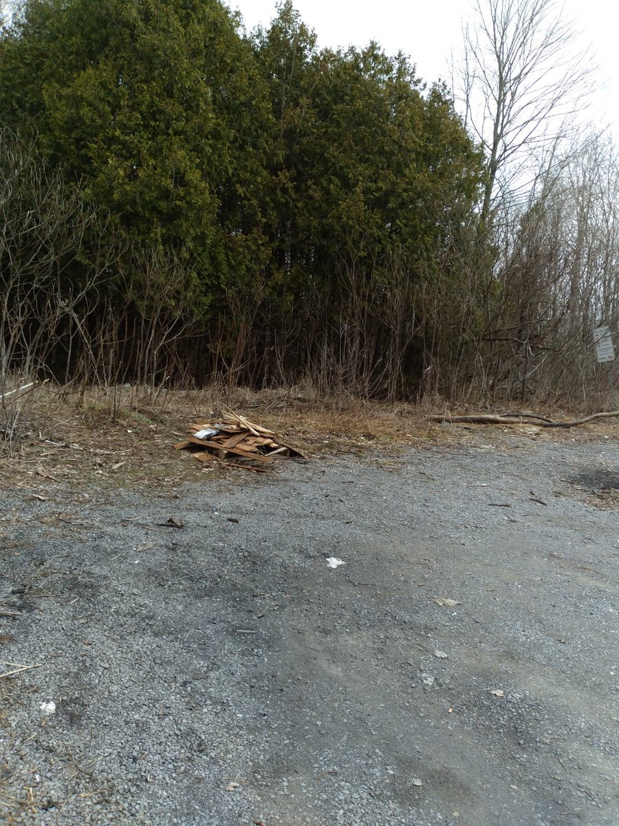 luvlambs's tweet photo. I have been trying to get this area cleaned up. Kudos to whoever took 5 bags of trash out yesterday! #BPWA https://t.co/8KefltiTzS