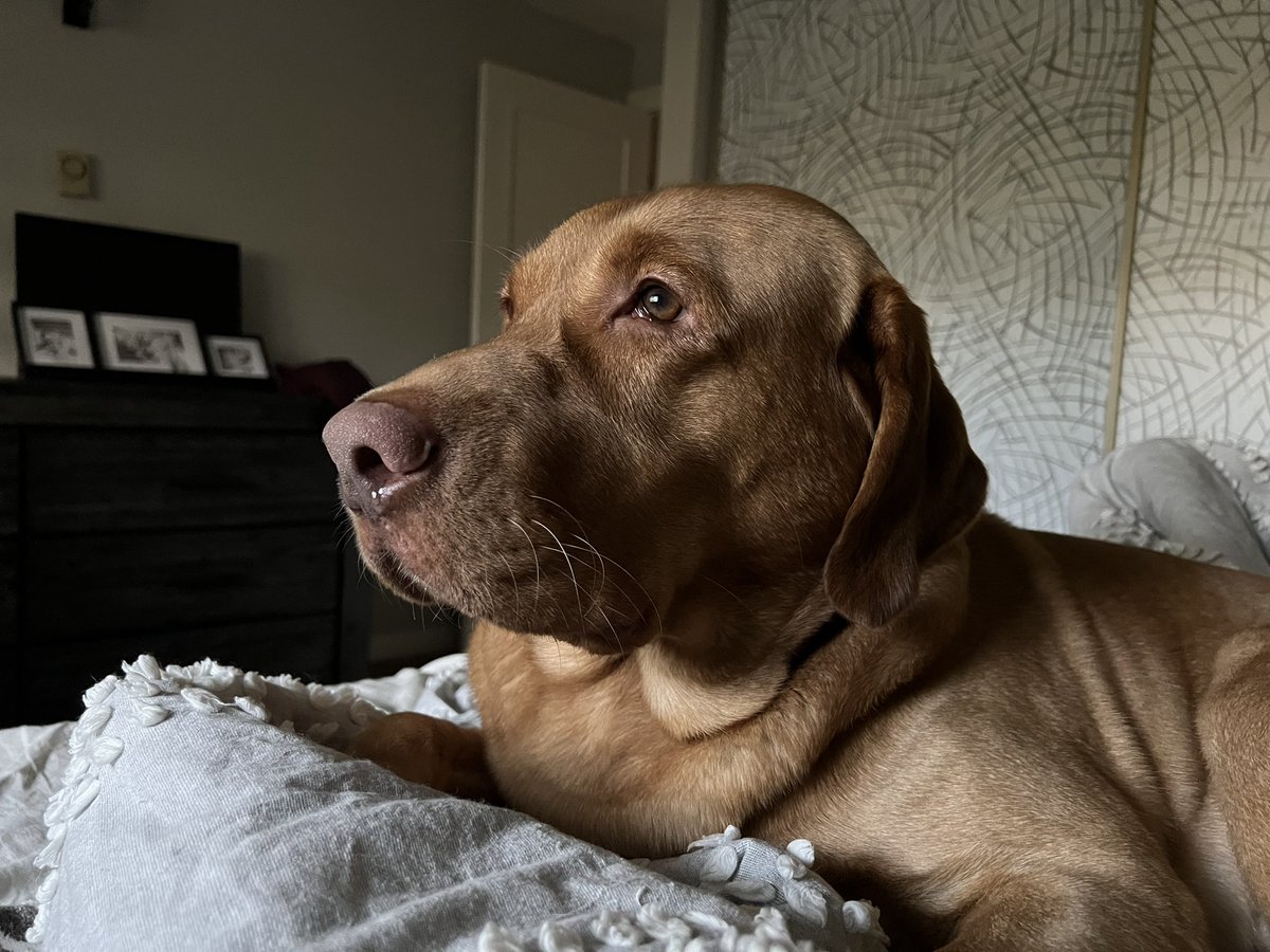 Just woke up like this.