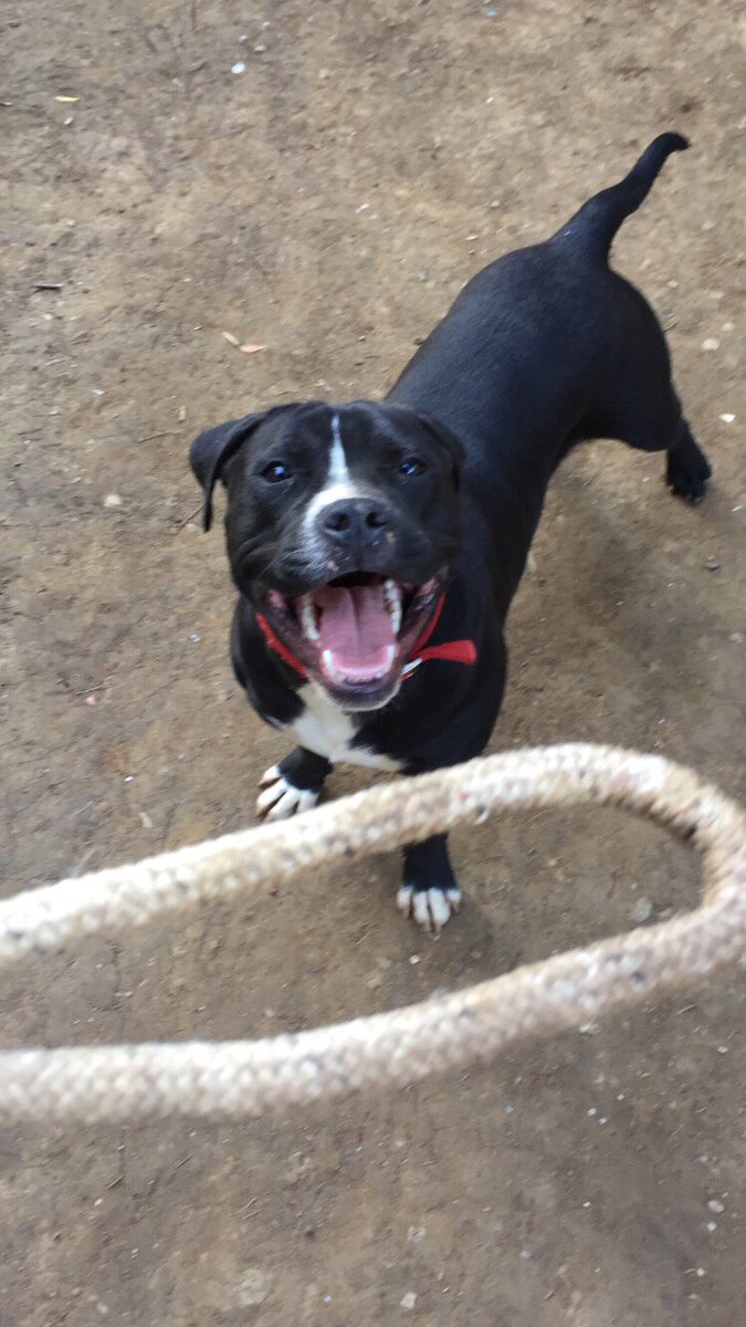 mertov23 (@mertov23) on Twitter photo 