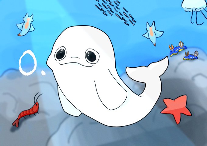 海の仲間たちのtwitterイラスト検索結果 海の仲間たちのtwitterイラスト検索結果