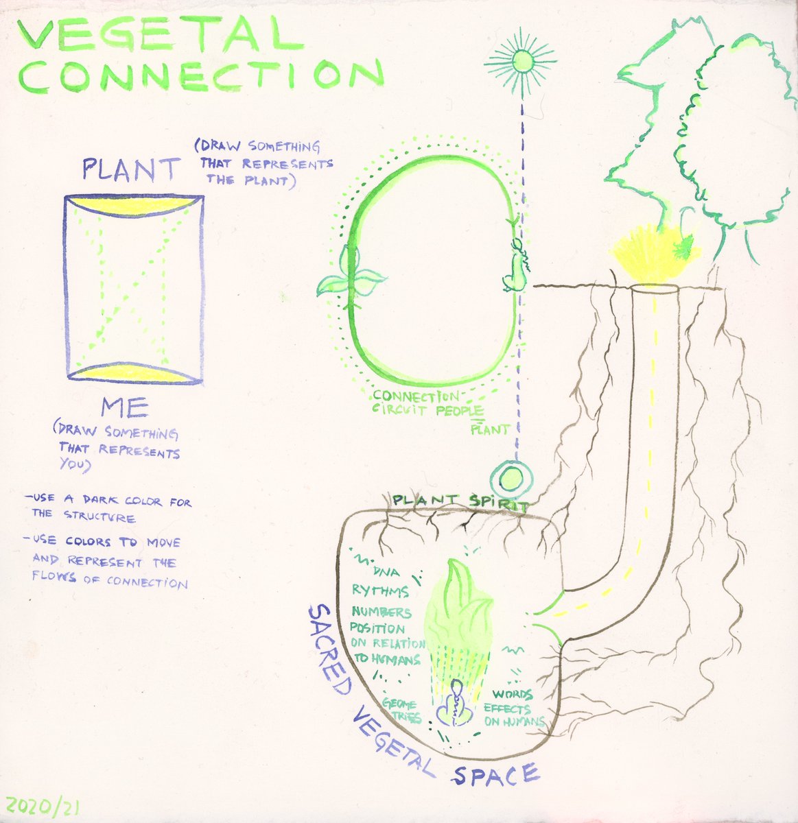 NCLiveProgramme's tweet image. Patricia Dominguez visited us recently to lead Vegetal Matrix: Decolonial Botany Workshop - an experimental session of plant representation, looking to connect with other minds and new ways of seeing and perceiving, beyond the rational gaze.