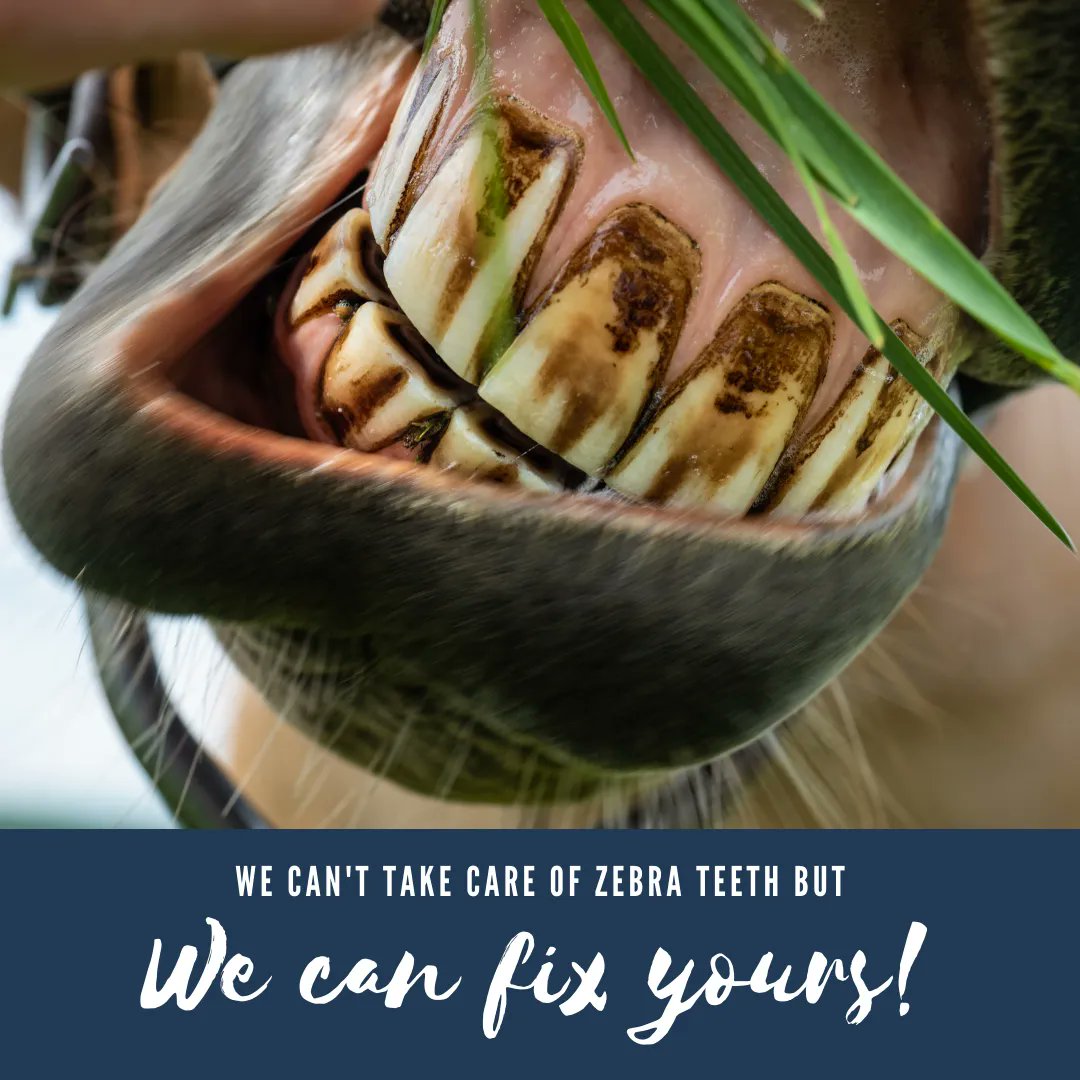 There's no reason to go WILD! It's only 6 months. 
It's worth it! There are thousands of incredible stories by real Six Month Smiles patients. #TrustTheProcess #SmileGoals #adultbraces