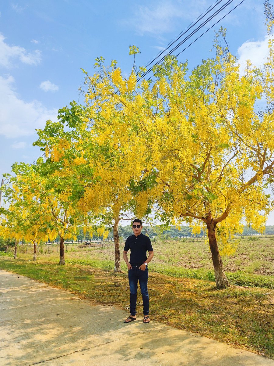 SoeMinnThant9's tweet photo. 💛💛💛 https://t.co/BTECfGMt8k
