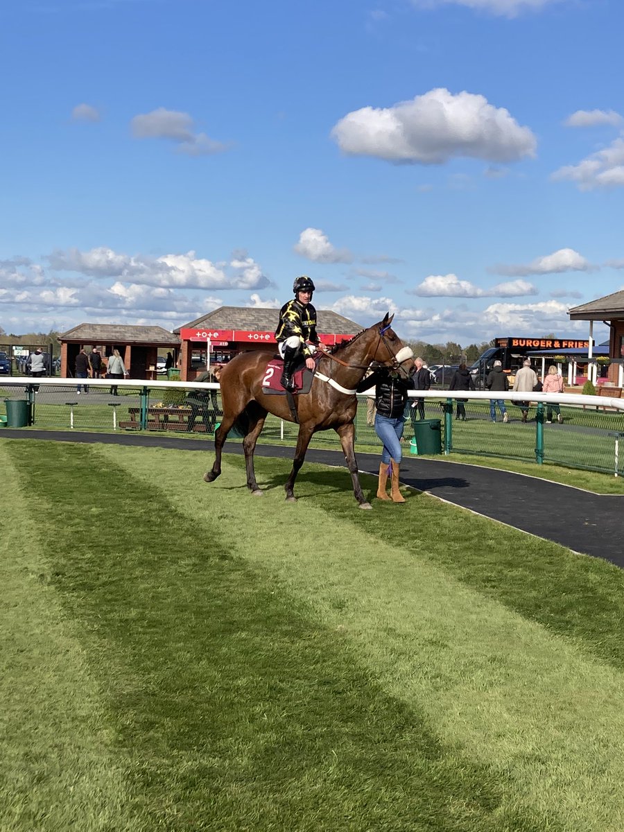BeswickBrothers's tweet photo. 🚨Frammassone Winner🚨 @bangorraces with Dedanser winning in good fashion. That takes FRAMMASSONES progeny to 9 winners from 17 to run under rules. Well done to connections @donaldmccain. #Frammassone #theyarewinners #untappedpotential #breedingwinners https://t.co/aHG6wiEQDR