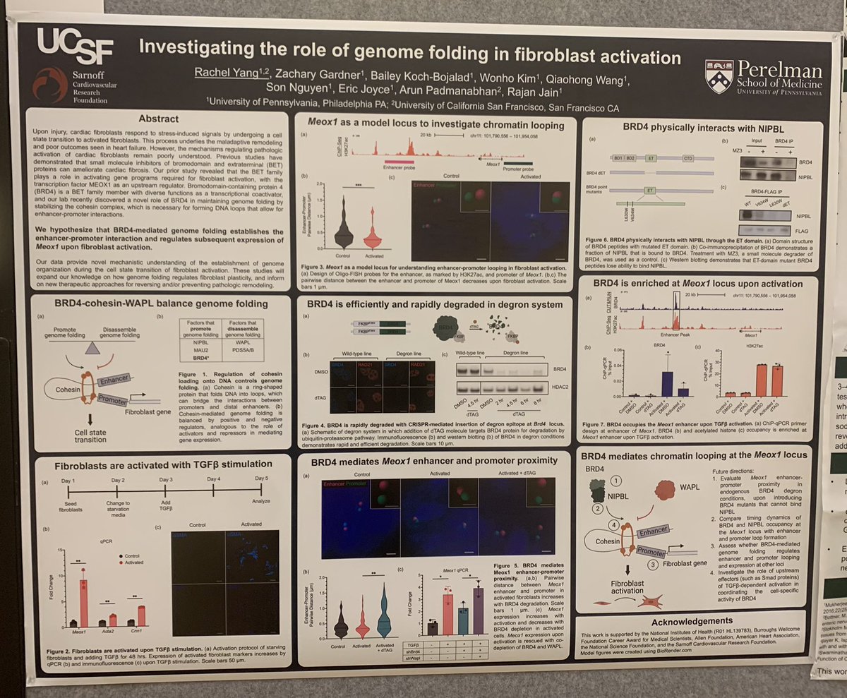 chaz_hong's tweet photo. I’m sure it’s just me, but two of the most interesting posters at @the_asci were by @SarnoffCardio Fellows! https://t.co/YSTWbVewNg