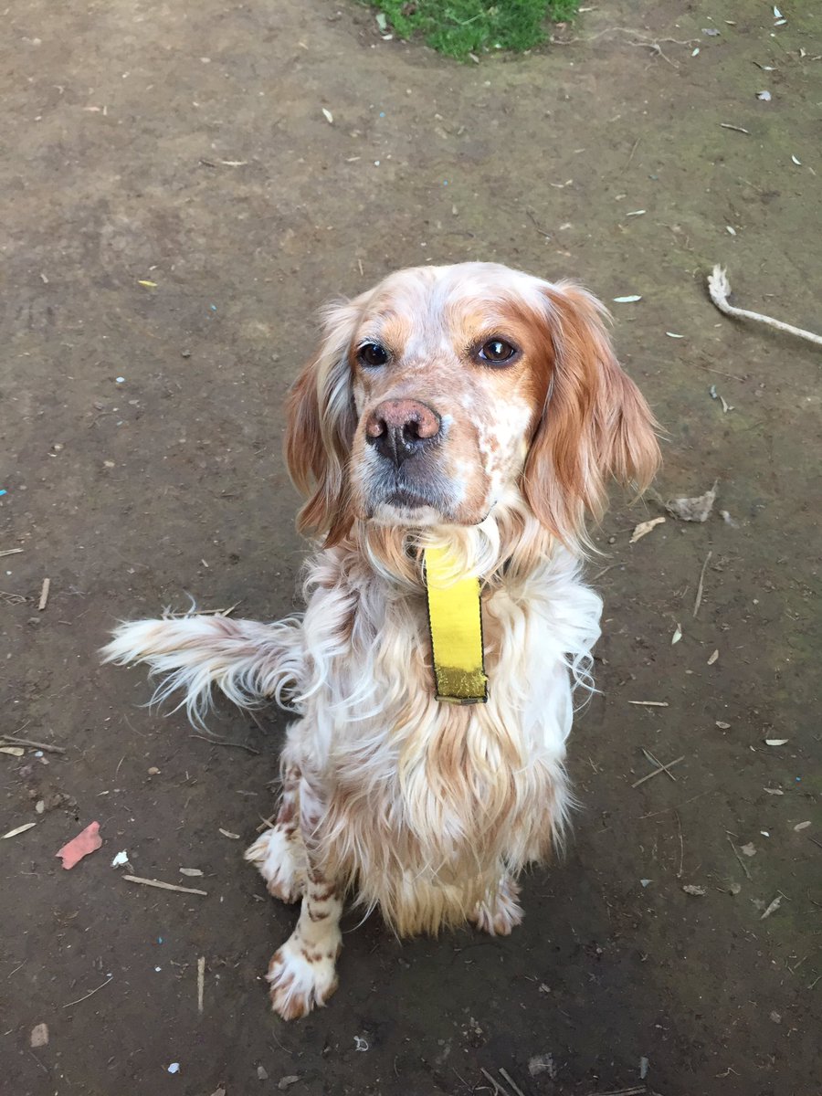 mertov23 (@mertov23) on Twitter photo 