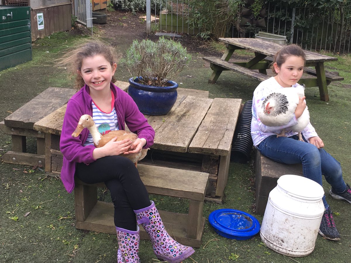 rachel72h's tweet photo. Great fun at ⁦@trafinfants⁩ Easter gardening camp https://t.co/KawC3UZdoh