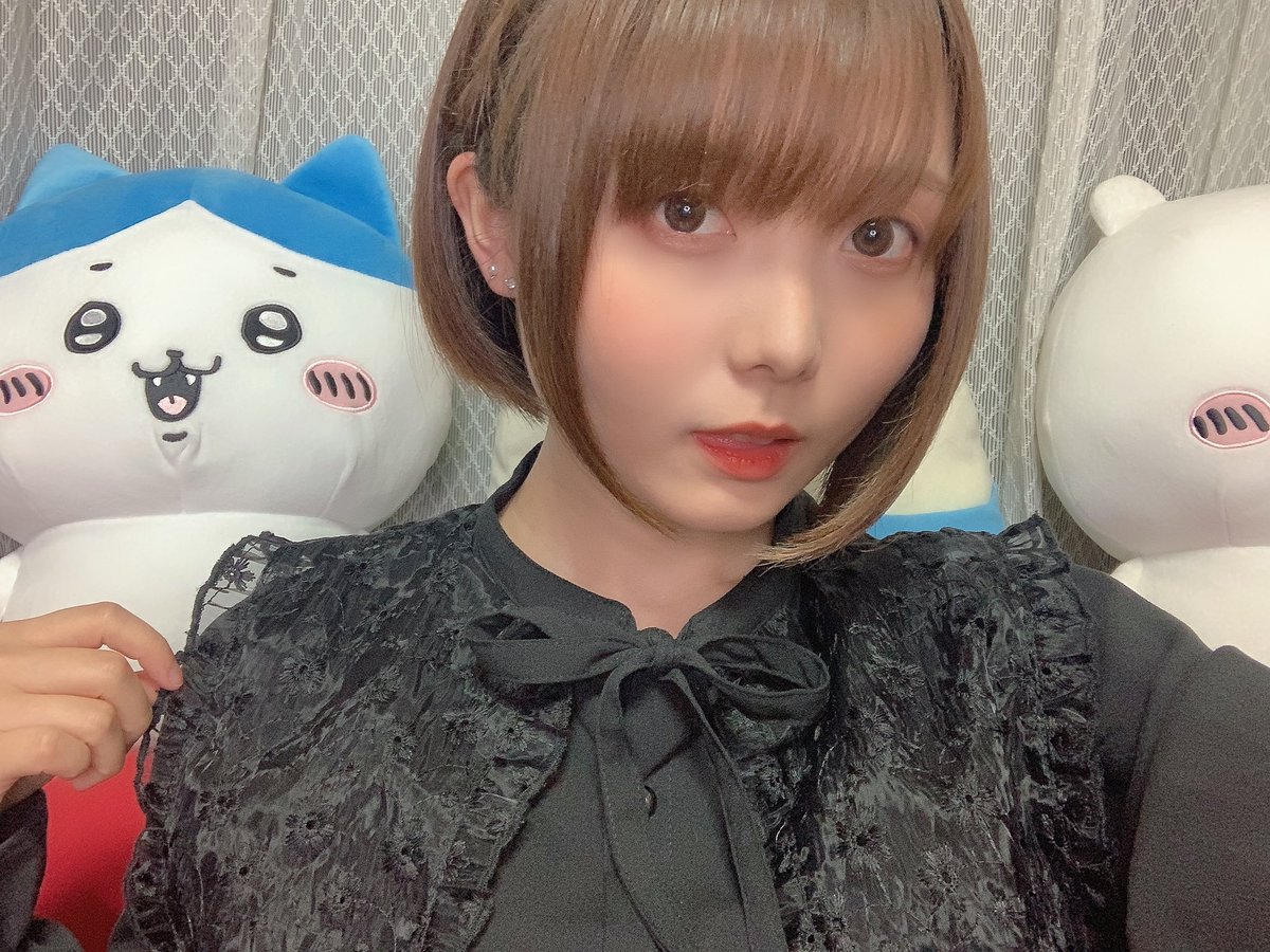 mydreams_Ayumu's tweet photo. ハチワレの主張が激しい https://t.co/Wd5ZjjbQ8W