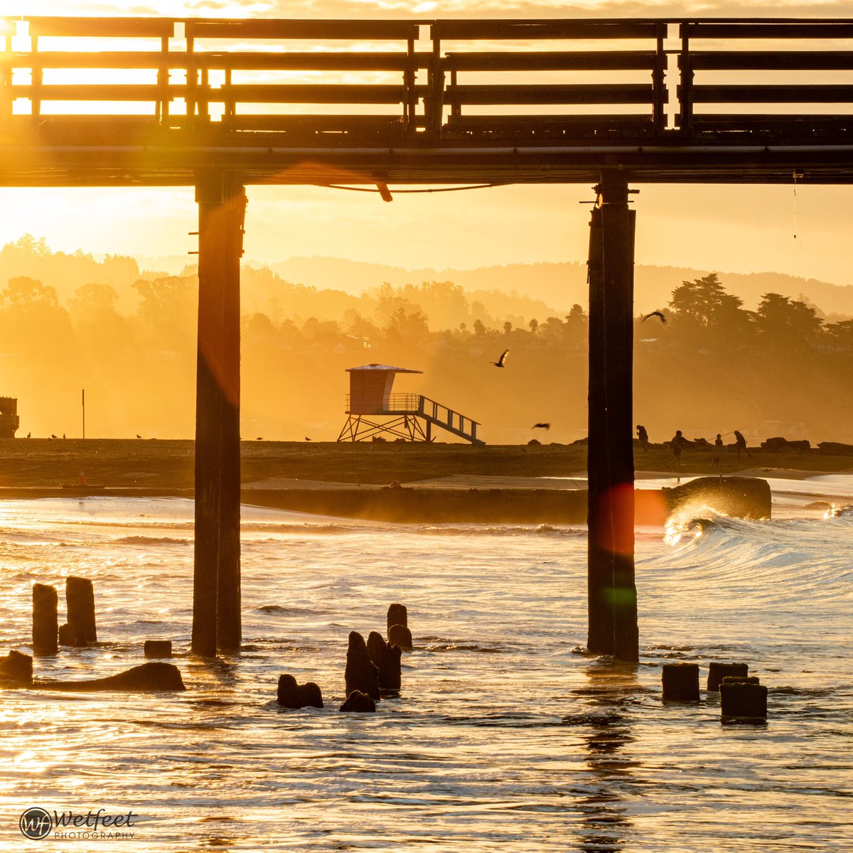 Wetfeetphoto's tweet photo. GM
Looking through 
.
Sunrise in Capitola https://t.co/1J8KboIkiR