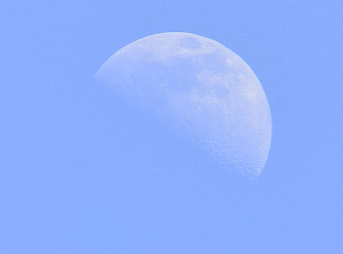 Livindeadgirl00's tweet photo. #moonsout π€©π #moonwatch ππ https://t.co/I9XqCLWkgn