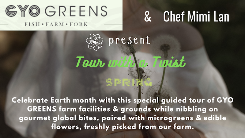 gyogreens's tweet photo. 🌿Join us! Farm Tour with a Twist  🌸 - https://t.co/YtRKLJzxZP https://t.co/rwem8av1B8